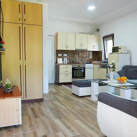 Plavno Homestay