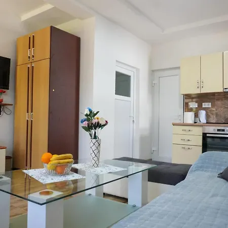 ホームステイ Plavno